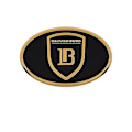 Miniatyrbild 1 av 4: Högkvalitativ hybridbilslogotyp, hög kvalitet, logotypmodifiering, för Byd S7 S6 F3 E2 F6 G5 Song L3 Tang F0 G3 G6 Guld bakre etikett