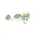 Miniatyrbillede 4 af 5: 25cm Kunstig Eucalyptus Krans Sommerkrans Kunstig