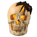Miniatyrbillede 1 af 5: Halloween Skeletlampe - Meget Realistisk Menneskeskalle Statue
