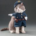 Miniatyrbillede 5 af 5: Katte- og Hundeuniformer, Søde Dyreklæder, Sjove Rollelege