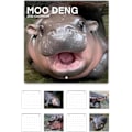 Pikkukuva 1 / 5: 2025 Moo Deng -kalenteri, 2025 Moo Deng -kääpiövirtaheva ripustettava kuukausittainen seinäkalenteri, Moo Deng -fanimäinen virtaheva seinäkalenteri