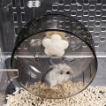 Miniatyrbillede 2 af 4: 1 Hamsterhjul Silent Rotator Hamster Mus Bevægelseshjul