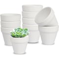 Pikkukuva 2 / 5: Mini Valkoiset Terrakotta-Ruukut 10 kpl - Pienet Keramiset
