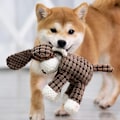 Pikkukuva 4 / 5: Plush- ja kangaskoiranlelu - Ruskea