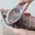 Miniatyrbild 3 av 5: 1 styck Fiskhudsborste, Transparent Lock Fiskhudsskalare,