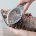 Miniatyrbilde 3 av 5: 1 stk Fiskeskinnbørste, Transparent Deksel Fiskeskinn Skreller,