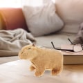 Miniatyrbilde 4 av 5: 1 kapybara bamse