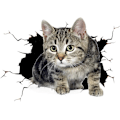 Miniatyrbillede 1 af 4: Sød Kat Bilsticker 3D Bilskrab Beskyttelse Sød Bilsticker Cr