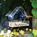 Miniatyrbillede 5 af 5: 1 stk. gennemsigtig akryl fuglefoderautomat med sugekopper