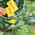 Miniatyrbillede 2 af 5: 20x Plantetiketter - store kort til mærkning af planter - have