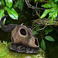 Miniatyrbilde 3 av 5: Harpiks reptil ornamenter, simulering harpiks akvarium, glass