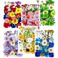 Miniatyrbild 4 av 4: Torkade blommor prägling kombination förpackning Pressade blommor