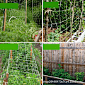 Miniatyrbillede 2 af 3: 3M*10M Haveplante Klatrenet, Polyester Vævet Net, Cross-Border Støttenet, Plante Klatrenet