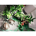 Miniatyrbillede 3 af 4: Skildpadde Varmelampe - Dagslys Pære, UVA/UVB Fuld Spektrum Varmelamper til Terrarier, Krybdyr, Dyr, Skildpadder, 50W longziming