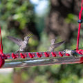 Miniatyrbillede 5 af 5: 1 Stk Kolibri Lang Rør FoderKolibri Foder Hængende