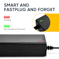 Miniatyrbild 5 av 5: 42V 2A batteriladdare Universal strömadapter