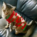 Miniatyrbilde 3 av 4: Kattgenser, vintergenser for katt, julegenser - strikket vinter
