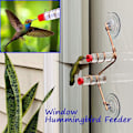 Miniatyrbillede 4 af 5: Vindue Kolibri Foderbræt Udendørs Terrasse Have Dekoration Fugl