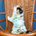 Miniatyrbild 2 av 5: Rehabiliteringskläder för husdjur (XL) Postoperativa kläder Katt