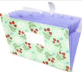 A4 Udvidbar Binder med 6 Rum Vandafvisende, Fleksibel