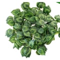 Miniatyrbillede 1 af 4: Vandmelonblad Kunstig Ivy Pakke med 12 Kunstige Planter