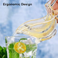 Miniatyrbillede 3 af 5: 2 stk. Lille fugl citronpresser bærbar transparent citron