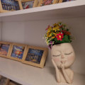 Miniatyrbild 5 av 5: 1 Stycke Sphinx Planter, Sukkulenter Planter med Dräneringshål,