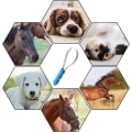 Miniatyrbilde 5 av 5: 1 stk. hund dobbeltsidig shedding blad med rustfritt stål
