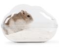 Sandbad för Hamster (L), Transparent Sandbad för Hamster med