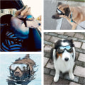 Miniatyrbillede 3 af 4: Hundebriller Vandtætte Vindtætte til Store og Mellemstore Hunde