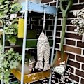 Miniatyrbillede 4 af 5: 2 Stykker Træfisk Dekoration, Træfisk Hængende Væghæng