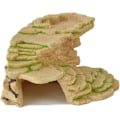 Miniatyrbillede 4 af 5: Skjulested til Skildpadder, Gemte Reptiler, Øglehuler, Fugtig