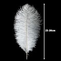 Miniatyrbillede 2 af 5: 24 stk Champagne Struds fjer i bulk 10-12 tommer Boho fjer