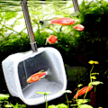 Miniatyrbild 3 av 5: Fisknät Utbyggbart Teleskopiskt Fisk Räka Skummande Nät