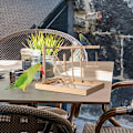 Miniatyrbild 5 av 5: Lekplats för fåglar, papegojleksaker, papegojburtillbehör