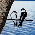 Pikkukuva 5 / 5: Metallinen Lintujen Siluetti, 2 Lintua Oksalla Metalli Taide Puutarha Metalli B