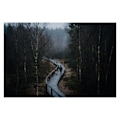 Pikkukuva 3 / 4: Kiinteäpolttoväliobjektiivi - Sigma - 50mm F/1.4 DG DN ART - Aukko F/1.4 - FE-kiinnitys - Kevyt ja kompakti
