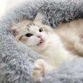 Miniatyrbild 7 av 11: Kattbädd / Hundbädd - Sovplats för katter & hundar Grey grå