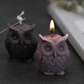 Miniatyrbillede 4 af 5: lysforme lys stearinlys gør-det-selv-forme i silikoneform mj65 trompetugle