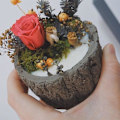 Miniatyrbillede 5 af 6: lysforme lys stearinlys gør-det-selv-forme i silikoneform en