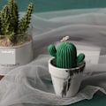 Pikkukuva 4 / 6: kynttilän muotit sytytä kynttilät tee-se-itse muotit silikonimuotissa mj31 cactus medium