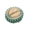Miniatyrbillede 6 af 6: lysforme lys stearinlys gør-det-selv-forme i silikoneform durian