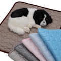 Miniatyrbillede 4 af 7: kølemåtte hund kat kølemåtte seng kølehund lyseblå 100*70 cm--xl