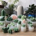 Miniatyrbillede 2 af 5: lysforme lys stearinlys gør-det-selv-forme i silikoneform sukkulent plante en