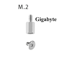 Miniatyrbillede 1 af 4: Bundkortsskruer og afstandsstykker til m.2 ssd/nvme montering - kom M.2 Gigabyte