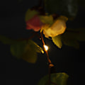 Miniatyrbilde 3 av 3: 2,5 m LED blomsterfe lyslenke batteridrevet for jul bryllupsfest hjemmeinnredning