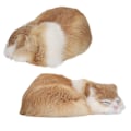 Miniatyrbillede 4 af 8: Pels sovende kat figur realistisk simulation fluffy dekorative plys sovende kat model til hjemmekontor