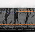 Miniatyrbillede 4 af 8: Transparent presenning kold isolering have regnsikker klar poly presenning plante dække klud 9,8 x 9,8ft