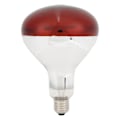 Pikkukuva 2 / 8: Tiput lämpölamppu infrapunalämmitin Basking Spot Heat Reptile Heat Lamp Punainen lamppu hautomoa varten 220V / 250W