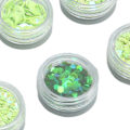 Miniatyrbild 4 av 8: 12 rutnät glitter set handgjorda DIY nagelkonst glitter set dekaler 3D nagelkonst dekorationer grönt